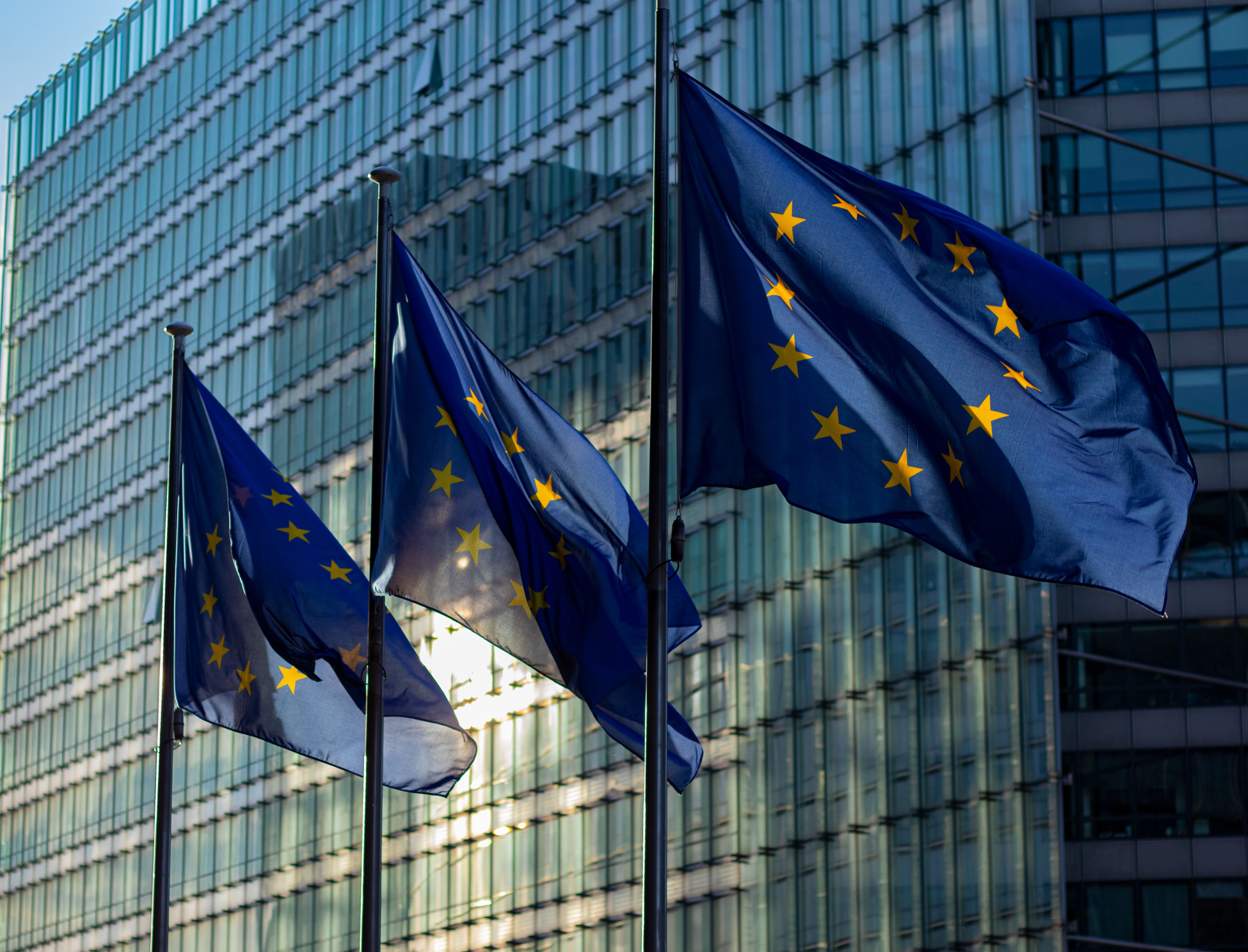 pexels marco 288924445 13153479 | Master of Public Administration: Když se systémová odpovědnost setká s moderní manažerskou praxí
